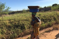 a typical picture on the way