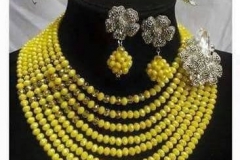 Necklace with earrings