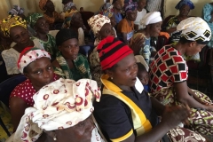Group of widows