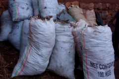 Raw materials for charcoal production