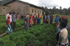 Besuch einer Witwengruppe in der Westlichen Provinz von Rwanda