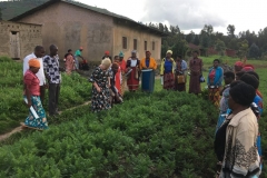 Meeting a group of widows in the western province of Rwanda